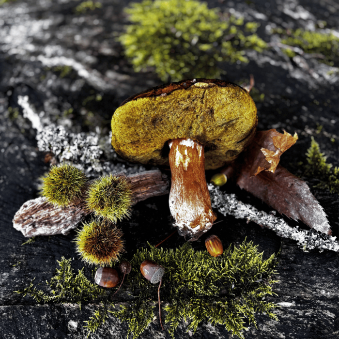 Atelier famille Land Art