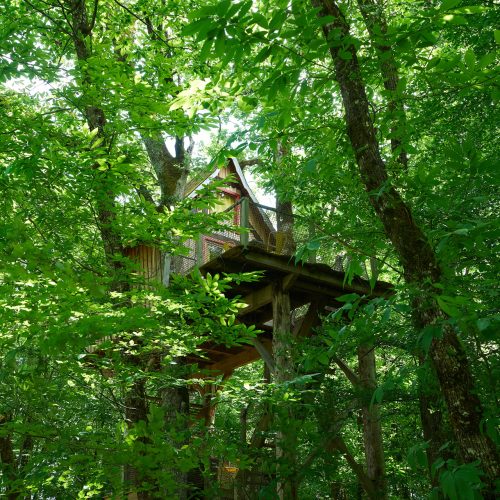 Cabane Cartoon Nid en Ô Cabanes arbres spa Lot Dordogne Cabane Cartoon 1