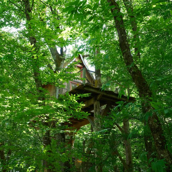 Nid en Ô Cabanes arbres spa Lot Dordogne Cabane Cartoon 1