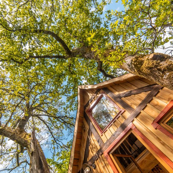 Nideno cabanes dans les arbres occitanie lot perigord cabane Padirac